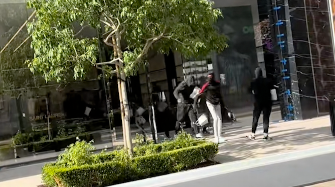 "Flash mob" burglars loot high-end retail store in California