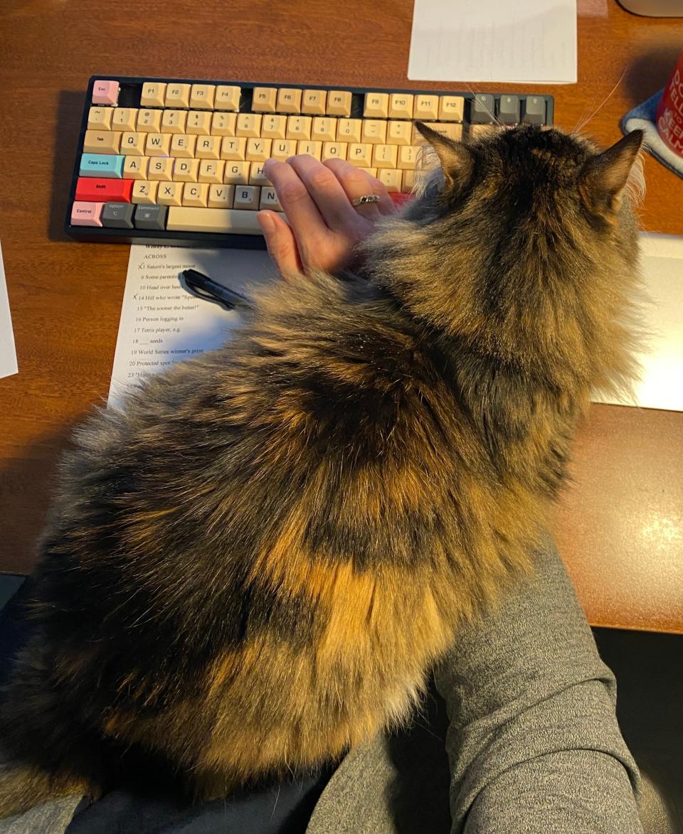 Willow is helping