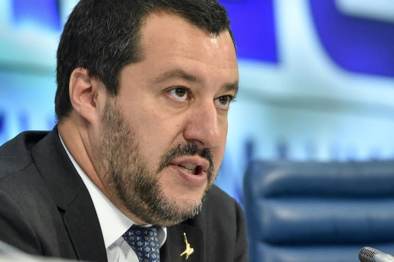 Italy's Interior Minister Matteo Salvini says a new bill will "reduce the costs of excessive immigration, expel delinquents and fake refugees, strip terrorists of citizenship (and) give the police greater powers"