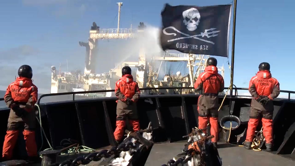 Sea Shepherd activists with their back to camera on a boat. The Sea Shepherd flag is flying.