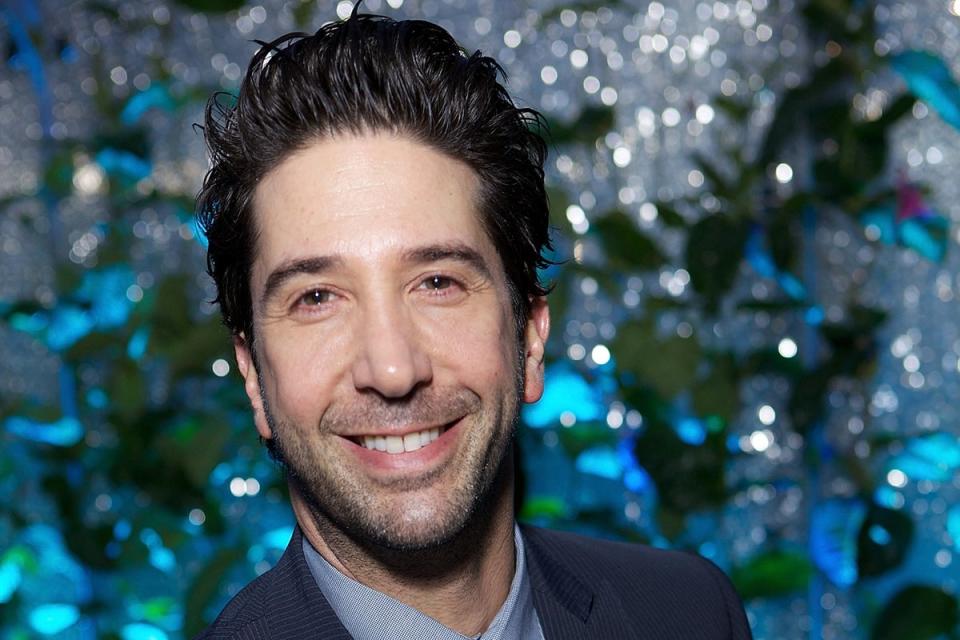 Friends star David Schwimmer responded with his own shower photo  (Jeff Schear/Getty Images)