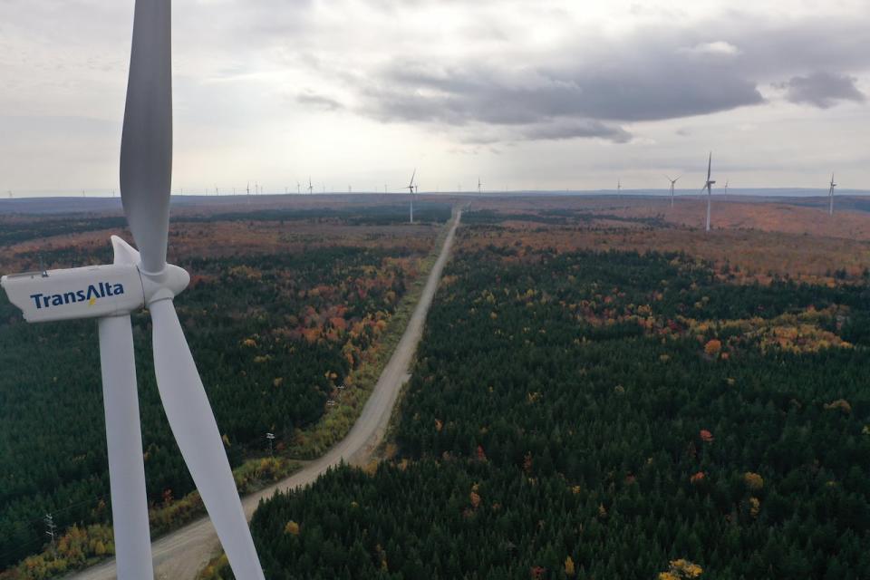 More than 50 wind turbines dot the landscape at the Kent Hills wind farm. According to the TransAlta website the farm is the largest wind facility in New Brunswick.