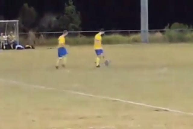 Koala invades football pitch