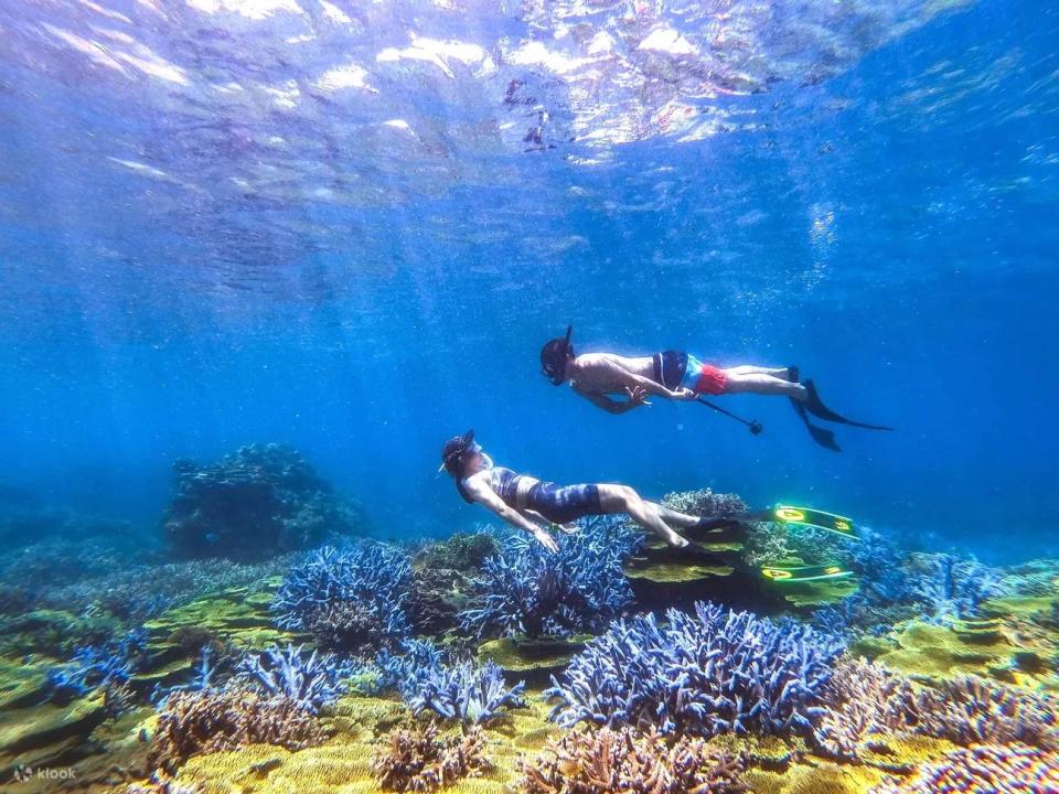 澎湖珊瑚礁忘憂島。圖片來源：Klook