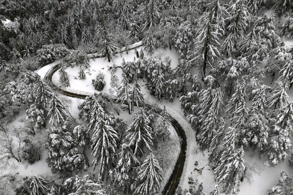 State Route 138 winds through snow-covered trees near Hesperia, Calif., Wednesday, March 1, 2023. Emergency crews are scrambling to shuttle food and medicine to residents of California mountain communities stranded by back-to-back winter storms. (AP Photo/Jae C. Hong)