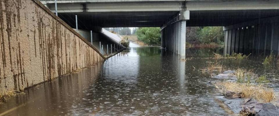 Guadalupe River Trail in San Jose flooded under 101, Trimble and Montague.