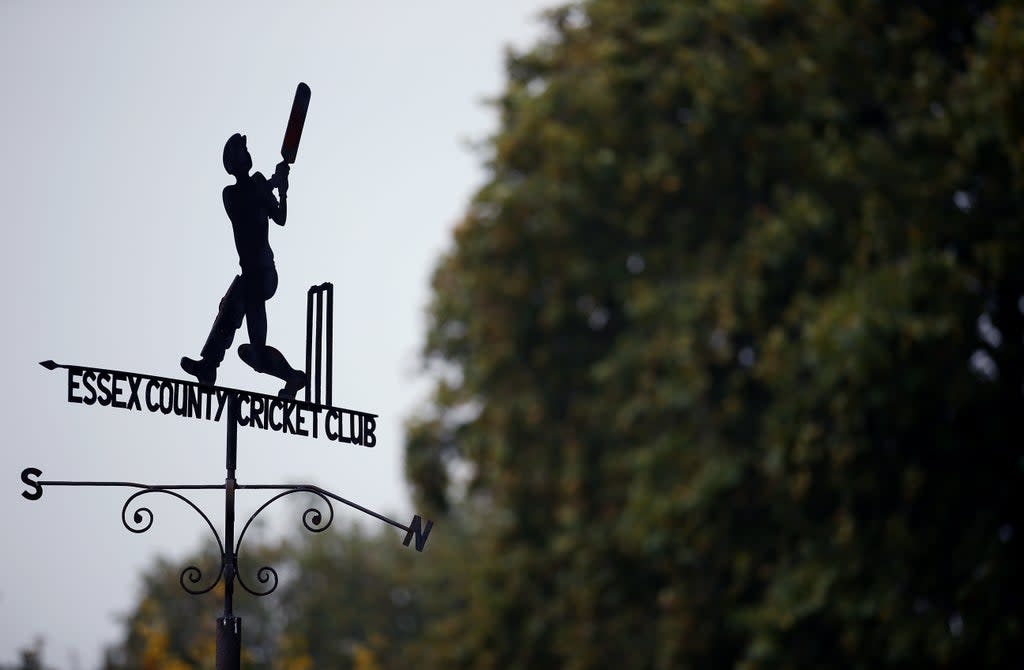 Essex have been fined over a historic racist comment (Steven Paston/PA) (PA Archive)