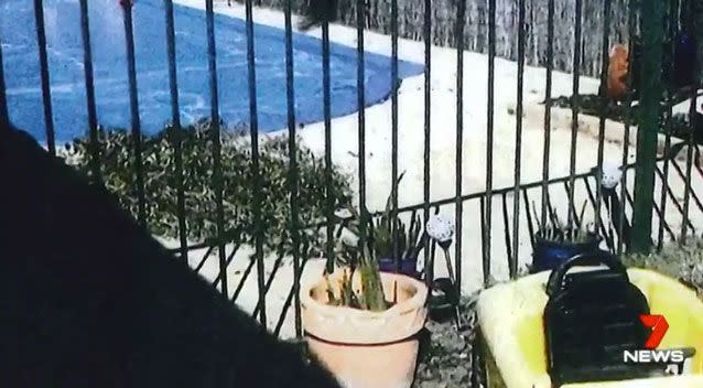 The daycare owner, Karla Zablah, was fined $6,500 told the court she did not move pot plants Lachlan might have used to climb the pool fence. Photo: 7 News