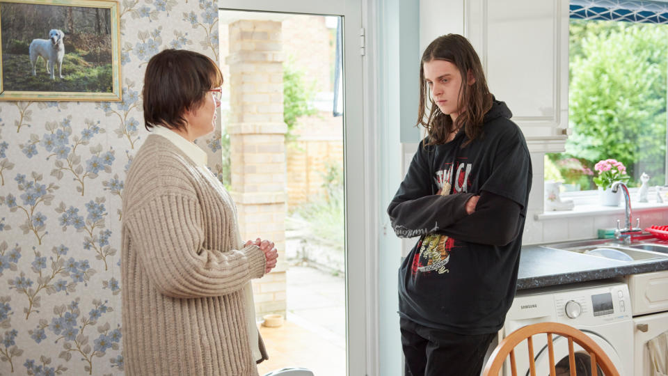 Monica Dolan and Earl Cave in 'Days of the Bagnold Summer'. (Credit: Altitude Films/Rob Baker Ashton)