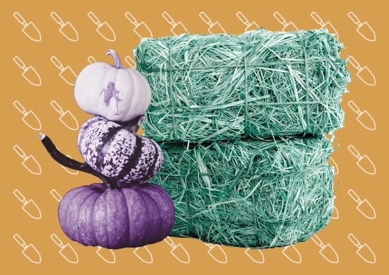 Stack of pumpkins, hay bales with illustration of garden shovels.