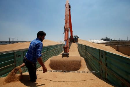 Farmer helps an excavator to unload wheat grain at a silo in Mosul