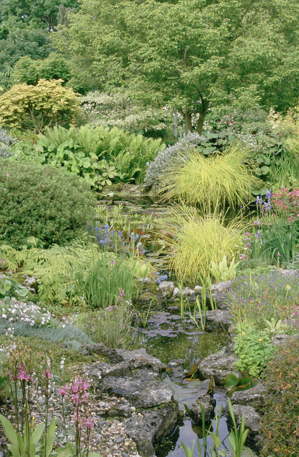 3. Use a rock garden to highlight a stream or pond