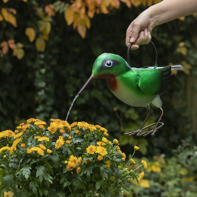 <p><a href="https://go.redirectingat.com?id=74968X1596630&url=https%3A%2F%2Fwww.uncommongoods.com%2Fproduct%2Fruby-throated-hummingbird-watering-can&sref=https%3A%2F%2Fwww.countryliving.com%2Fshopping%2Fg60370527%2Fbest-gifts-bird-watchers%2F" rel="nofollow noopener" target="_blank" data-ylk="slk:Shop Now;elm:context_link;itc:0;sec:content-canvas" class="link rapid-noclick-resp">Shop Now</a></p><p>Ruby Throated Hummingbird Watering Can</p><p>uncommongoods.com</p><p>$48.00</p>