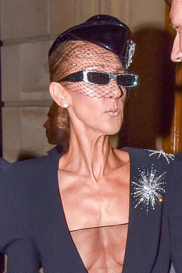 Céline Dion and Her Bags are Having More Fun in France Than Anyone