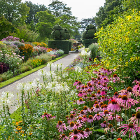 Nymans - Credit: Marianne Majerus/MMGI