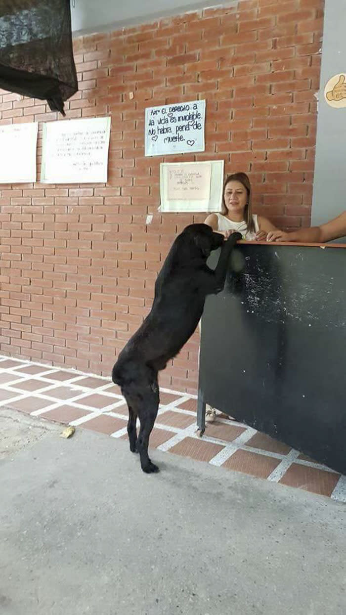 No vas a creer lo que hace para obtener una deliciosa galleta en el kiosko de un colegio. Foto: Facebook