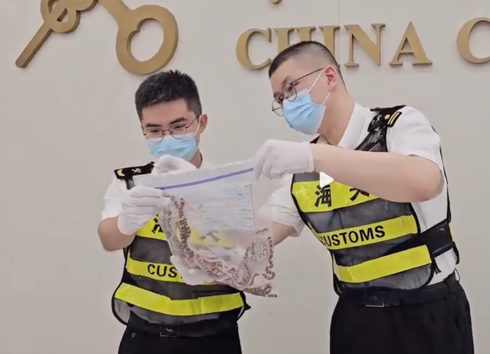 Chinese customs officers seized 104 live snakes at a checkpoint recently.