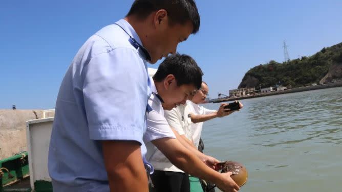 員警將鱟帶到海邊放生。（圖／翻攝自環球網）