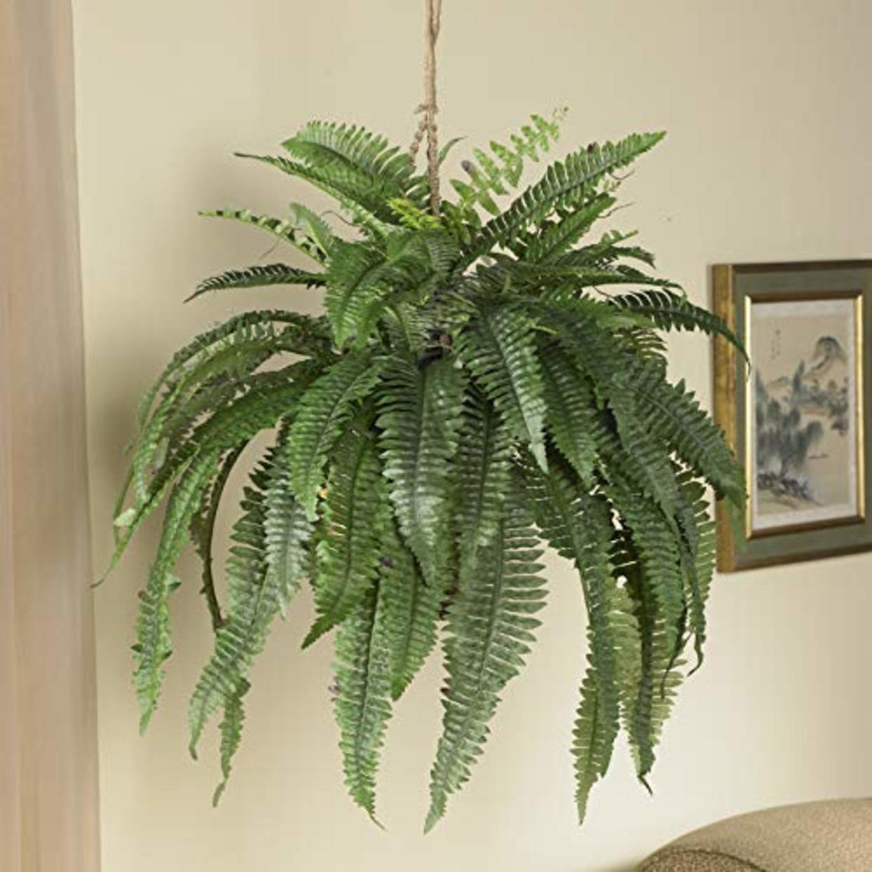 Nearly Natural 6774 22in. Large Boston Fern Hanging Basket,Green (AMAZON)