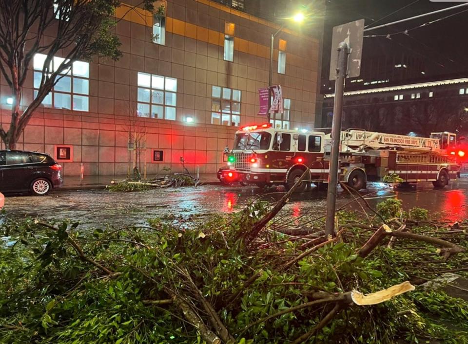 Downed trees in San Francisco from the bomb cyclone (San Francisco Fire Department)