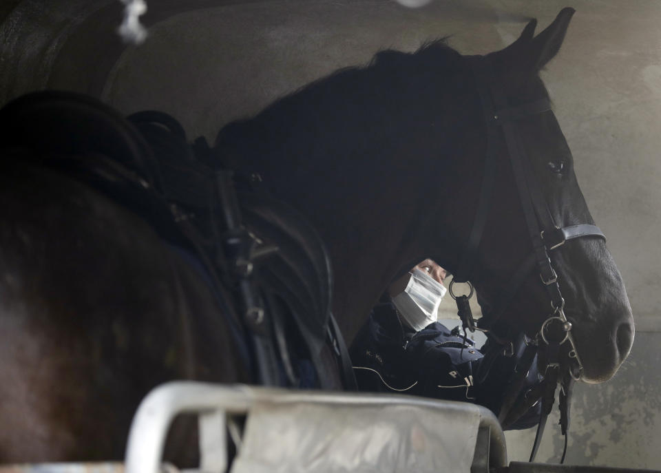 Mounted police patrol in a park in Warsaw, Poland, on Friday, March 5, 2021. When they age, the dogs and horses that serve in Poland's police, Border Guard and other services cannot always count on a rewarding existence. Responding to calls from concerned servicemen, the Interior Ministry has proposed a bill that would give the animals an official status and retirement pension, hoping this gesture of “ethical obligation” will win unanimous backing. (AP Photo/Czarek Sokolowski)