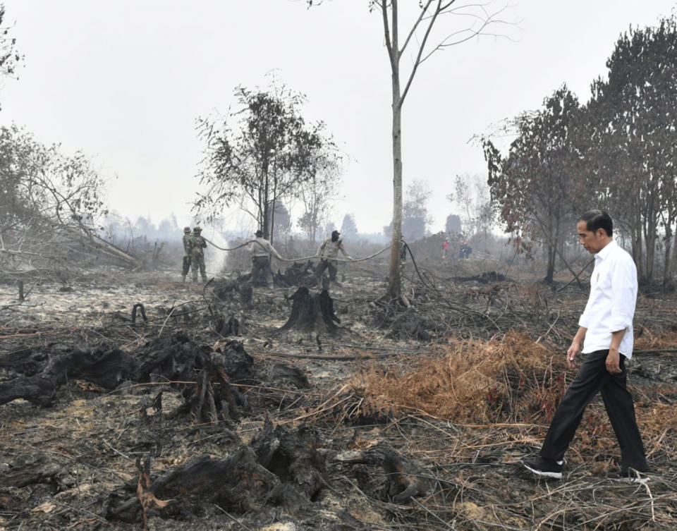 In this photo released by Indonesian Presidential Secretariat, Indonesian President Joko Widodo walks on a burnt forest as firefighters are seen spraying water to extinguish the remaining fire in Pelalawan, Riau province, Indonesia, Tuesday, Sept. 17, 2019. Widodo traveled to the area hardest hit by forest fires, as neighboring countries urged his government to do more to tackle the blazes that have spread a thick, noxious haze around Southeast Asia. (Laily Rachev, Indonesian Presidential Secretariat via AP)