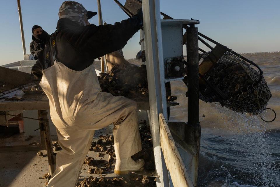 Luis Cabrera, right, lifts an oyster cage as he and Manuel Perez unload a haul in an oyster boat, in Trinity Bay on Nov. 1, 2023.