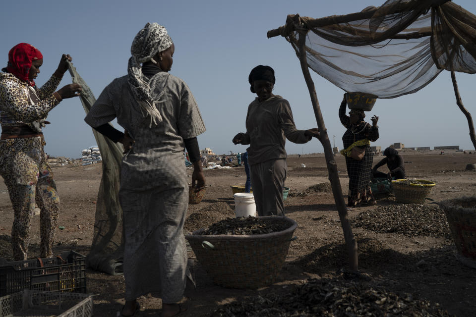 Fatou Samba, right, president of the association of female fish processors, carries on her head a basket filled with the remains of processed fish at Bargny beach, some 35 kilometers (22 miles) east of Dakar, Senegal, Sunday, April 25, 2021. Samba is a town councilor and president of the Association of Women Processors of Fish Products, and she's testified about the challenges in artisanal fishing. She hopes to stop much of the expansion of big industry as fishmeal companies scoop up fish and send the product to Europe and Asia. (AP Photo/Leo Correa)