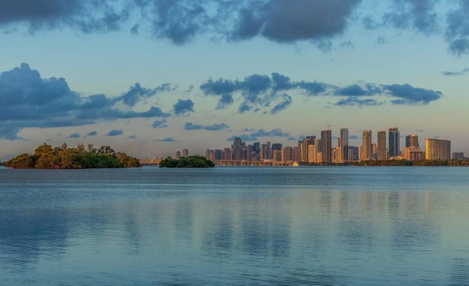 View of Miami skyline including the Bird Key, a private island on Biscayne Bay that is now for sale as environmentalists are upset, because developers could build on the island, displacing all the birds, on Thursday, May 23, 2024.