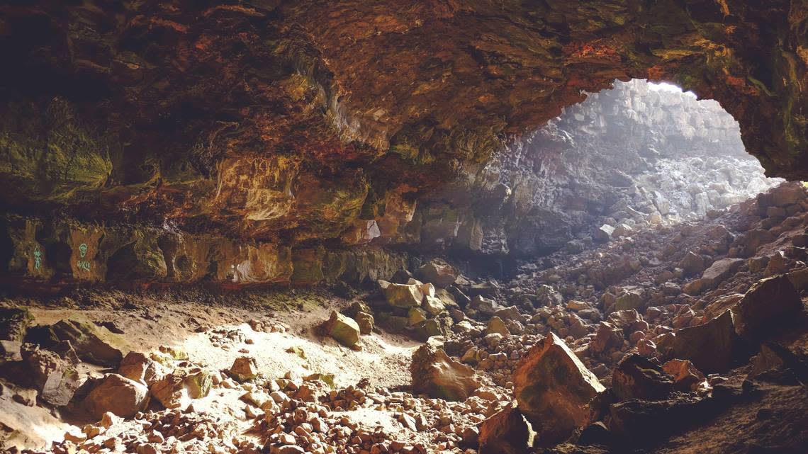 Científicos encuentran una criatura ‘gigante’ con seis huevos en cueva de Ecuador