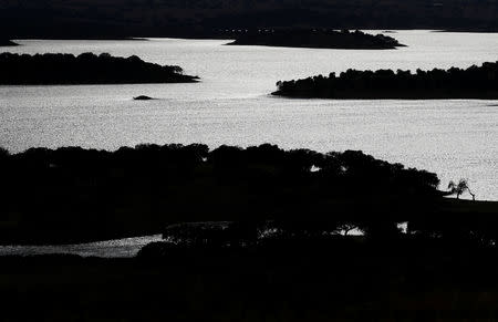 A view of Alqueva reservoir, the largest artificial lake in the EU, at sunset near Monsaraz, Portugal, August 8, 2018. REUTERS/Rafael Marchante