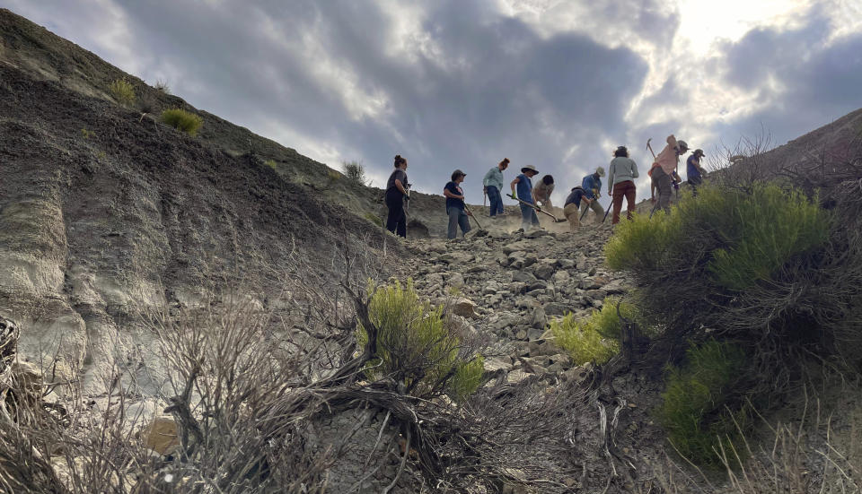 In a scene from the documentary "T.REX," vertebrate paleontologist Tyler Lyson, Natalie Toth and the expedition team begin the work of uncovering a juvenile T. rex in the Hell Creek Formation in North Dakota. (Andy Wood/Giant Screen Films via AP)