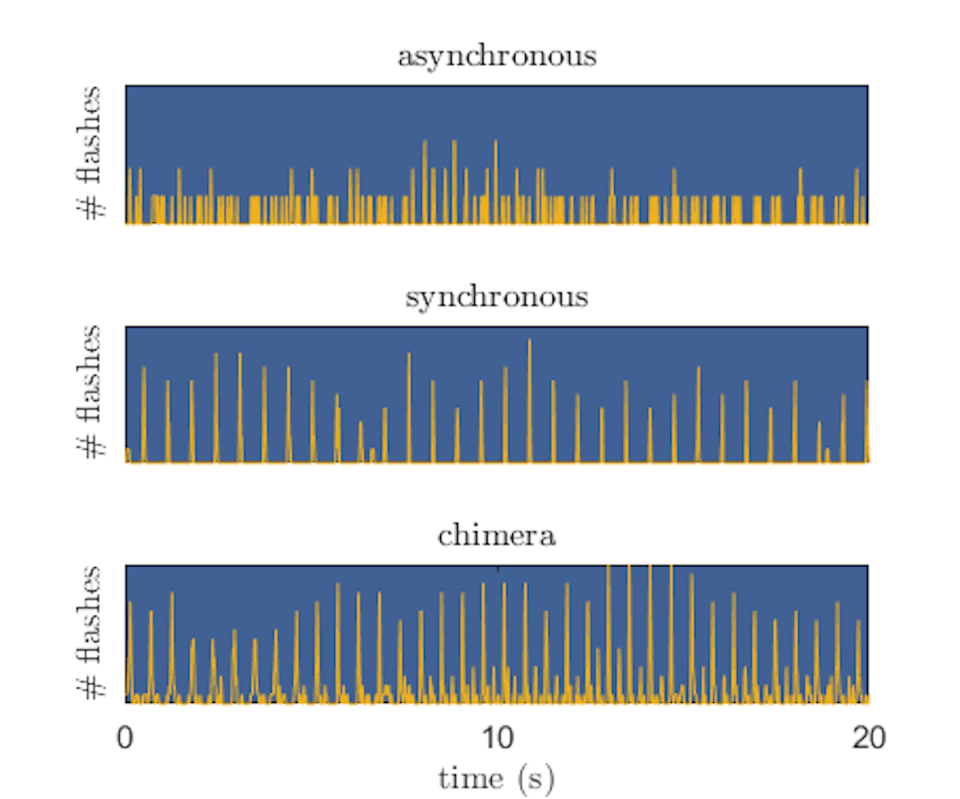 In an asynchronous group, individual flashes spread randomly over time. In a synchronous group, flashes cluster around specific instants. In a chimera state, a smaller group blinks to its own beat, keeping a delay from the synchronized main group. It shows up as smaller peaks between the main spikes. Raphael Sarfati