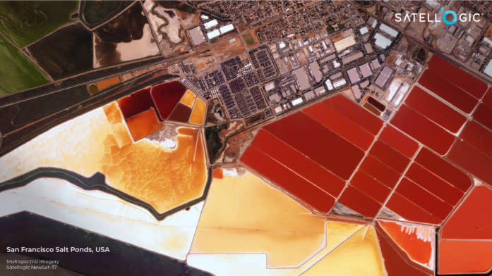 Satellogic - San Francisco Salt Ponds, USA