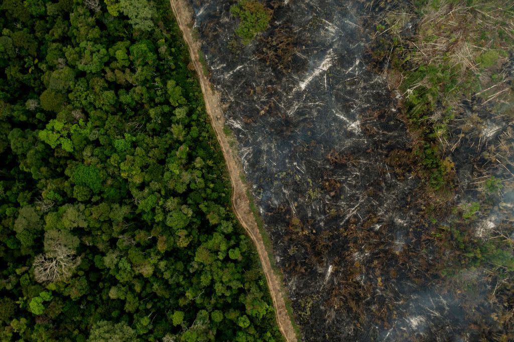 BRAZIL-UN-COP26-CLIMATE-AMAZON