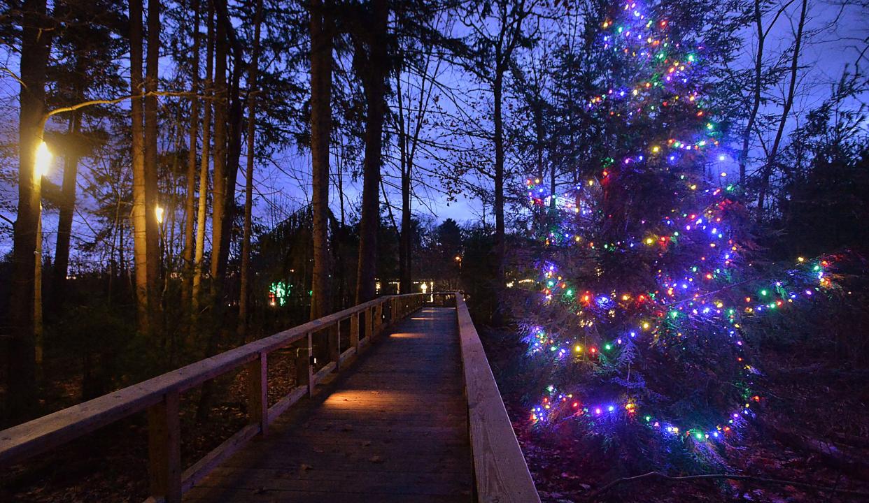 The boardwalk adjacent to the Andrew J. Conner Nature Center at Asbury Woods in Millcreek Township is lit during the 2021 Winter Wonderland.