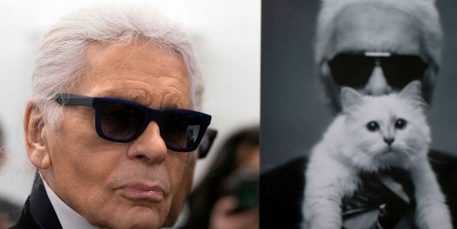 Karl Lagerfeld's Beloved Cat Choupette Celebrates Birthday on Private Jet