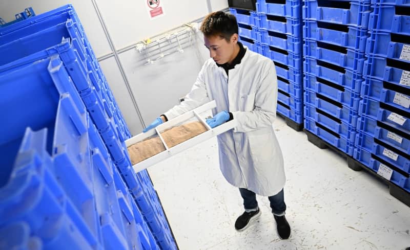 Gia Tien Ngo, managing director of the start-up company Alpha Protein, stands in the business premises in a breeding facility for mealworms with a device for feeding the animals. Bernd Weißbrod/dpa