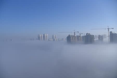 Buildings in construction are covered in fog in Wangdu, Hebei province, China, December 22, 2016. Picture taken December 22, 2016. REUTERS/Stringer