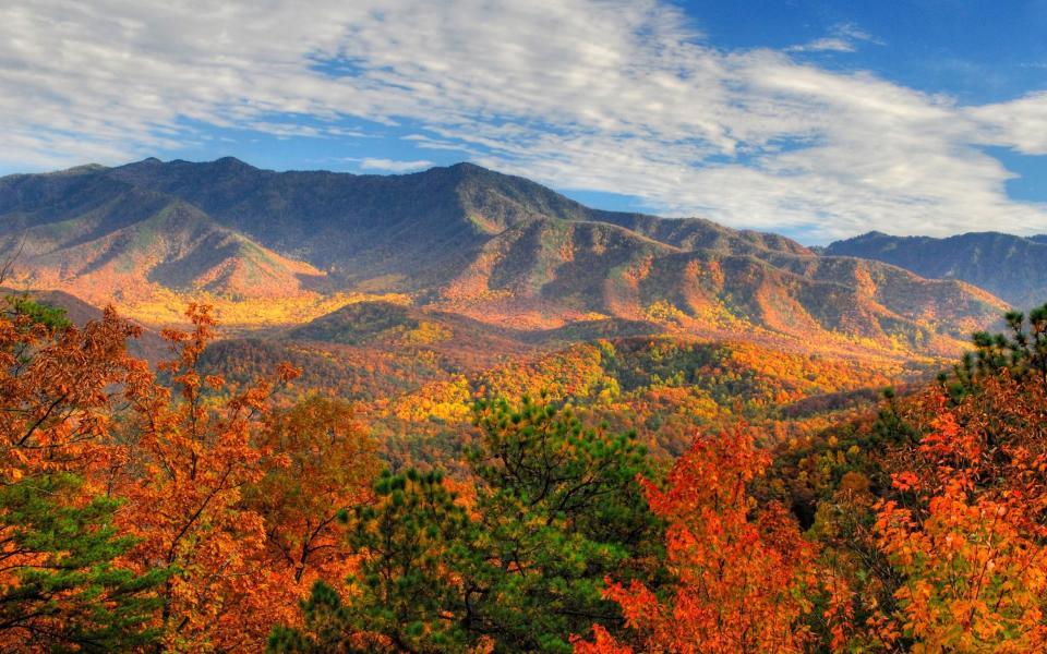 During the pandemic people were drawn by the Great Smoky Mountains and the prospect of a rural life - Chris Murray /Aurora Creative 