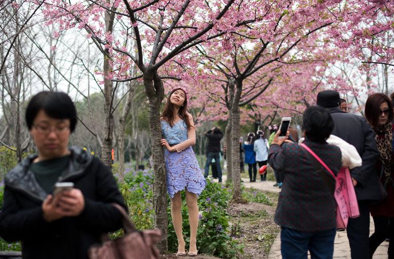 A mother takes a snapshot of her daughter in front of a tree during the Cherry Blossom Festival in Gucun Park in northern Shanghai on March 18, 2015