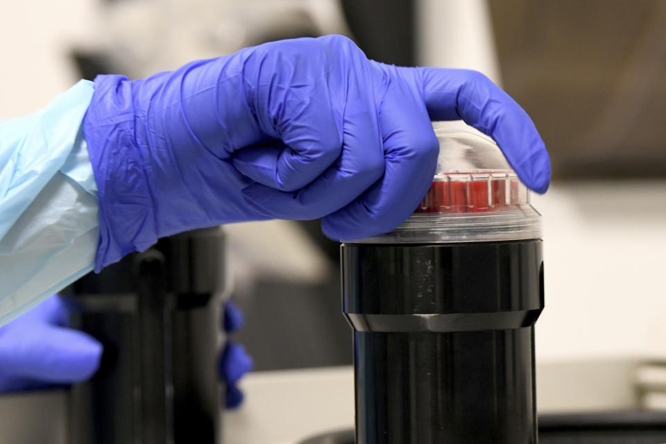 FILE - In this file photo dated Wednesday, Sept. 2, 2020, University of Miami Miller School of Medicine lab technician processes blood samples￼ from volunteers taking part in testing the NIH funded Moderna COVID-19 vaccine in Miami, USA. Britain said Sunday Nov. 29, 2020, it has secured 2 million more doses of a promising coronavirus vaccine developed by US firm Moderna, as the country aims to launch an inoculation program within days. (AP Photo/Taimy Alvarez, FILE)