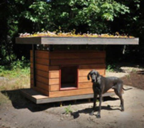 Eco-Doghouse: Coates Design Architects