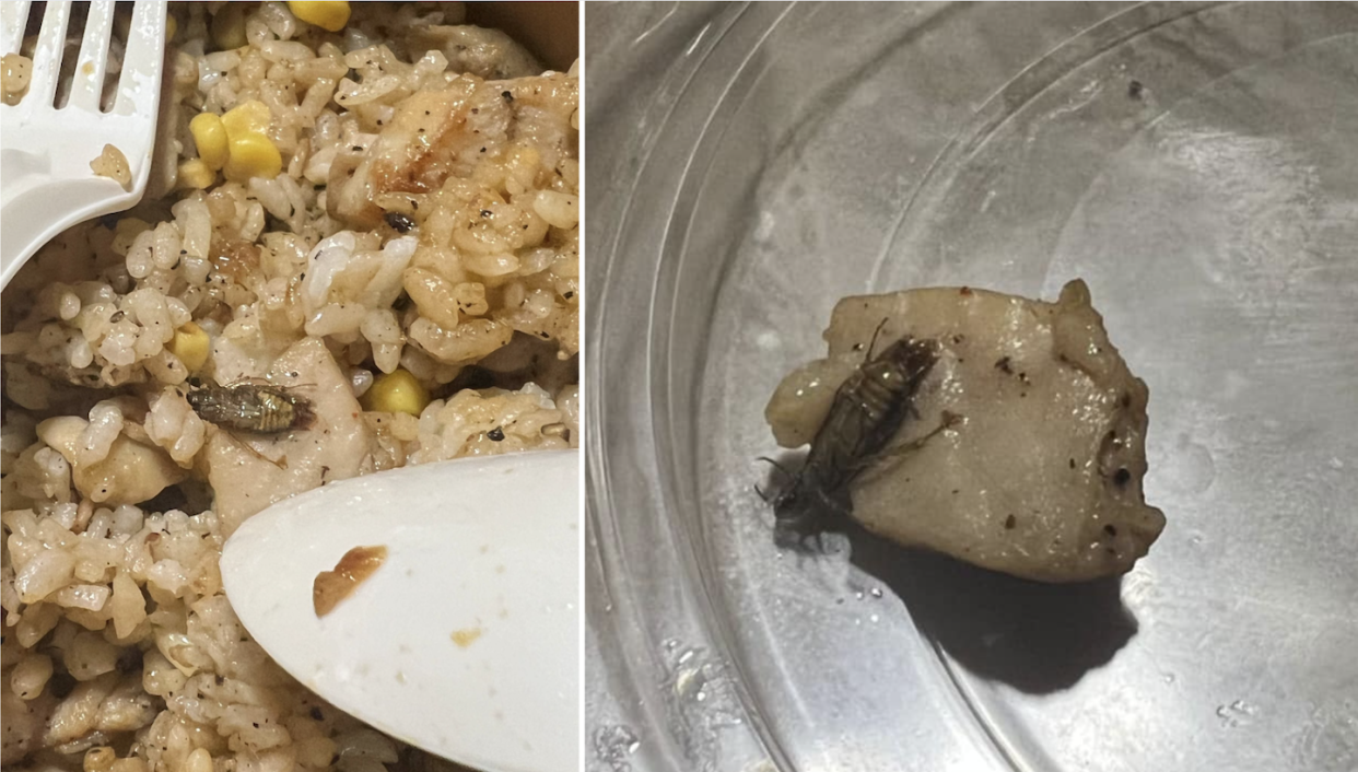 Cockroach found in online Pepper Lunch order from Compass One outlet