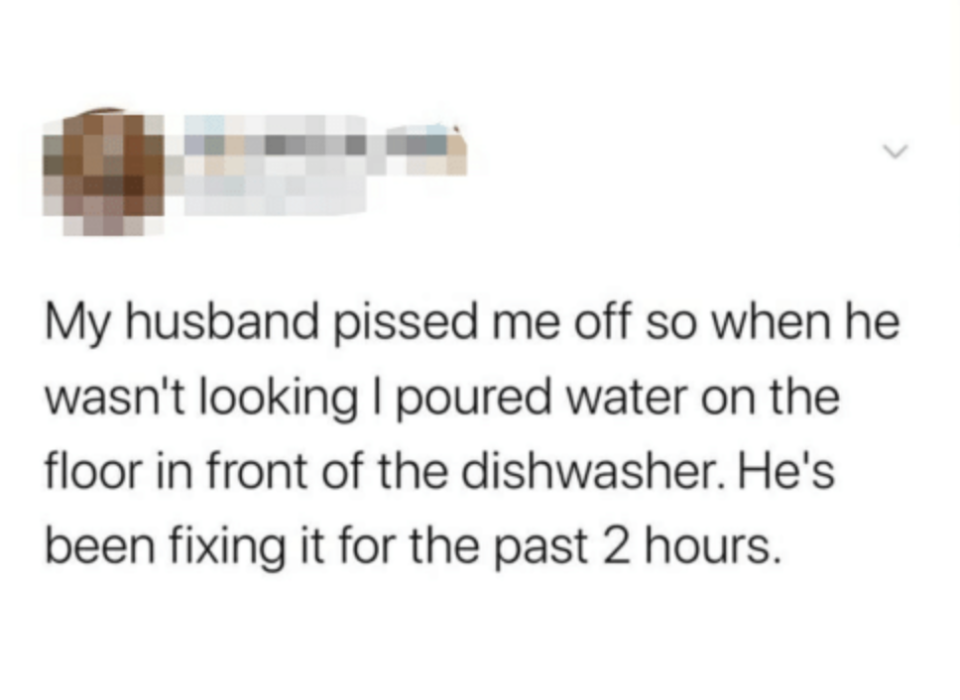 A person who poured water in front of a dishwasher to make their husband think it was broken