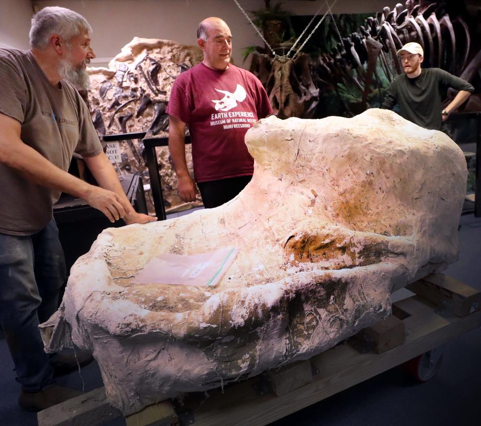 Alan Brown, left , Joe Nochera, center, and Fischer Touchton speak over a triceratops skull that Alan Brown helped excavate in Montana is delivered to Earth Experience - Middle Tennessee Museum of Natural History on Tuesday, Sept. 5, 2023.