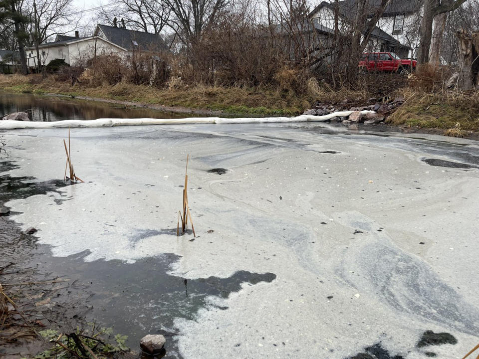 The buttery mess in the canal. (Phoebe Murray / NBC15)