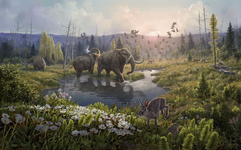 This illustration provided by researchers depicts Kap Kobenhavn, Greenland, two million years ago, when the temperature was significantly warmer than northernmost Greenland today. Scientists have analyzed 2-million-year-old DNA extracted from dirt samples in the area, revealing an ancient ecosystem unlike anything seen on Earth today, including traces of mastodons and horseshoe crabs roaming the Arctic. (Beth Zaiken via AP)