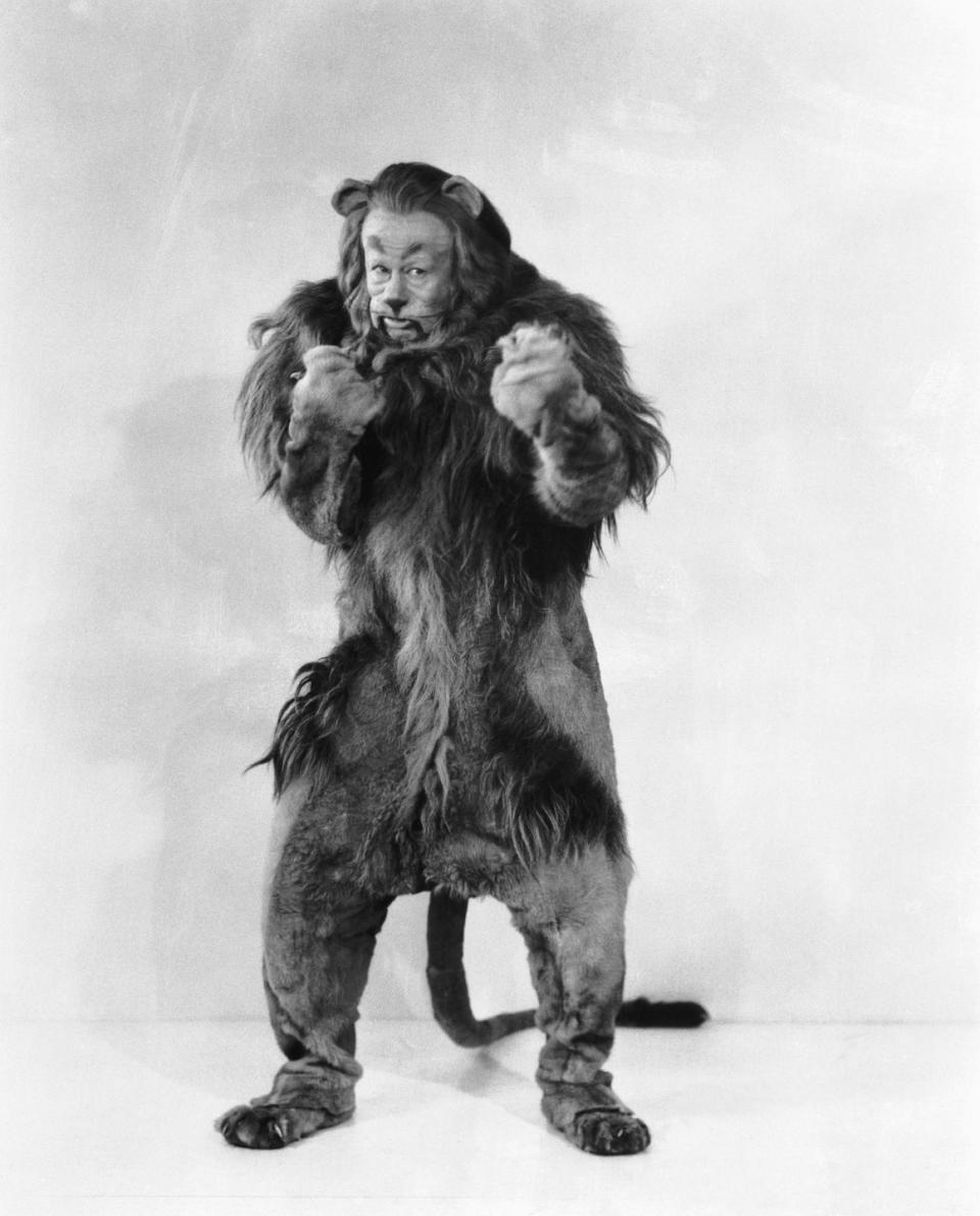 'Wizard of Oz' Cowardly Lion Costume