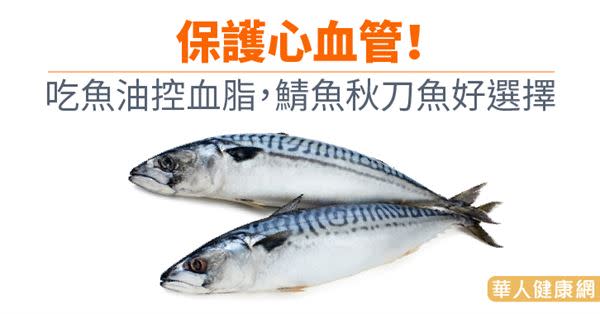 保護心血管！吃魚油控血脂，鯖魚秋刀魚好選擇